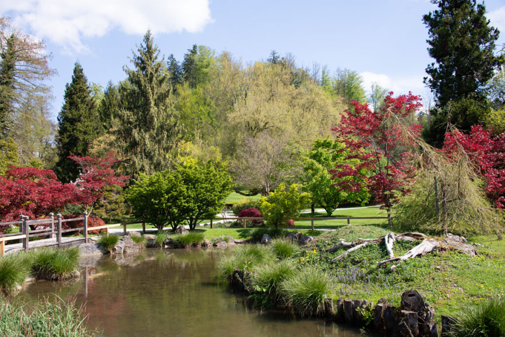 Arboretum, uno dei laghetti