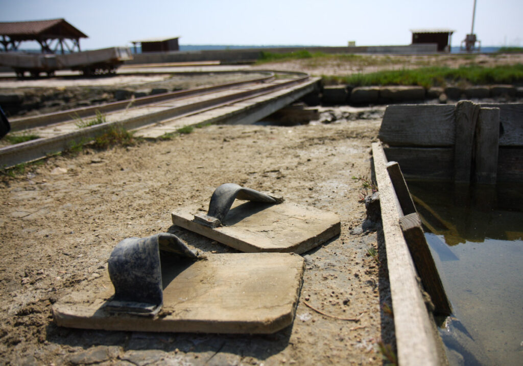 Le saline di Sicciole