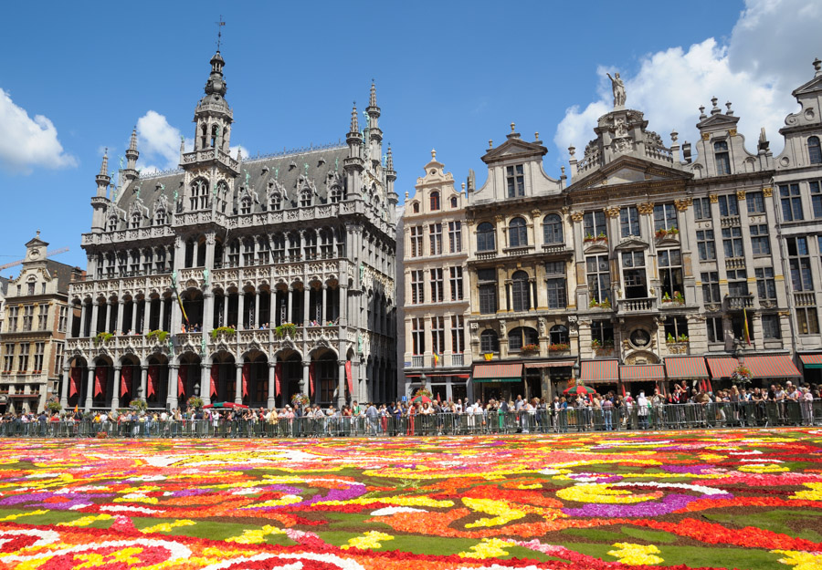 Infiorata di Bruxelles