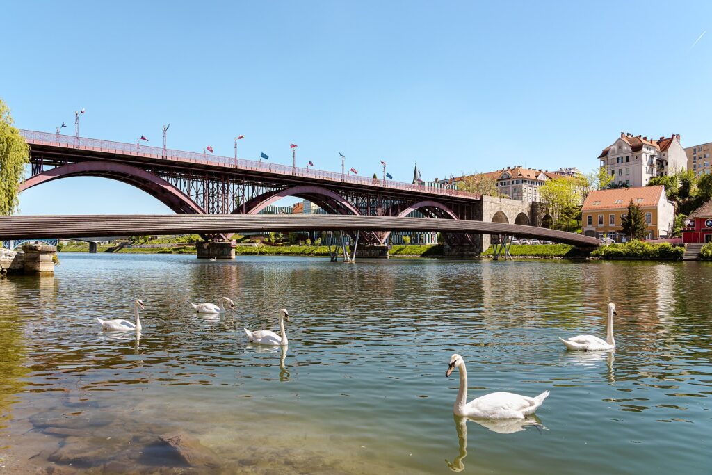 Foliage lungo il fiume Drava: percorsi in bici tra Austria e Slovenia Foliage lungo il fiume Drava: percorsi in bici tra Austria e Slovenia