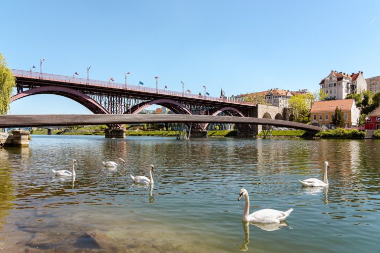 Foliage lungo il fiume Drava: percorsi in bici tra Austria e Slovenia