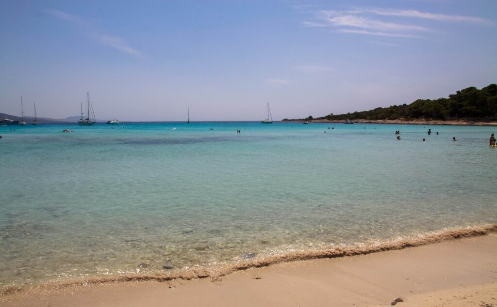La spiaggia di Sakarun con l'acqua turchese e la pineta, a Dugi Otok