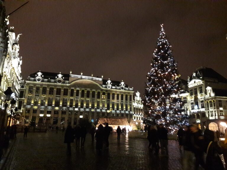 La Grand-Place di Bruxelles illuminata di notte con il grande albero di Natale