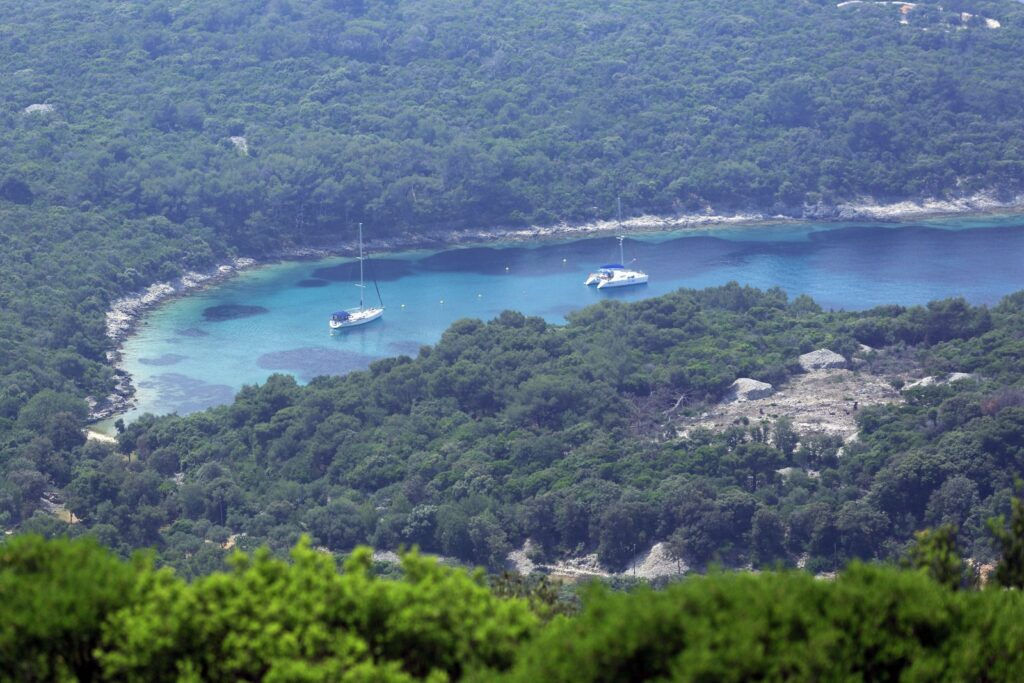 La baia di Balvanida con l'acqua turchese tra le pinete dell'isola di Lošinj