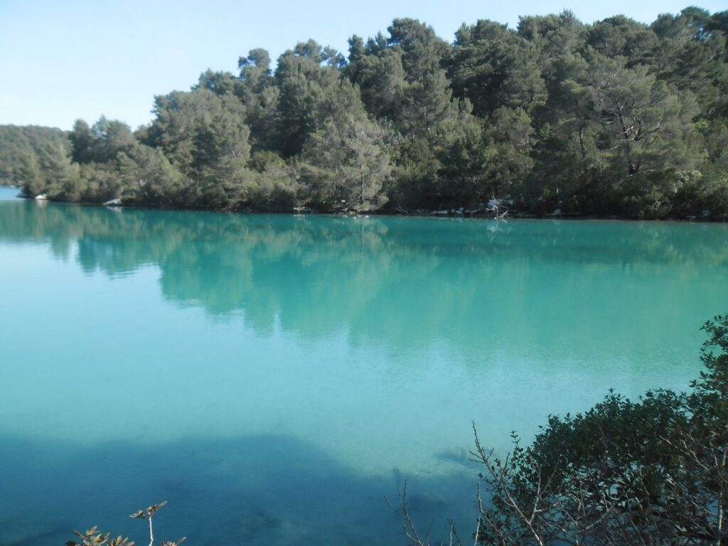Acqua turchese di uno dei laghi salati del parco nazionale di Mljet, tra i boschi