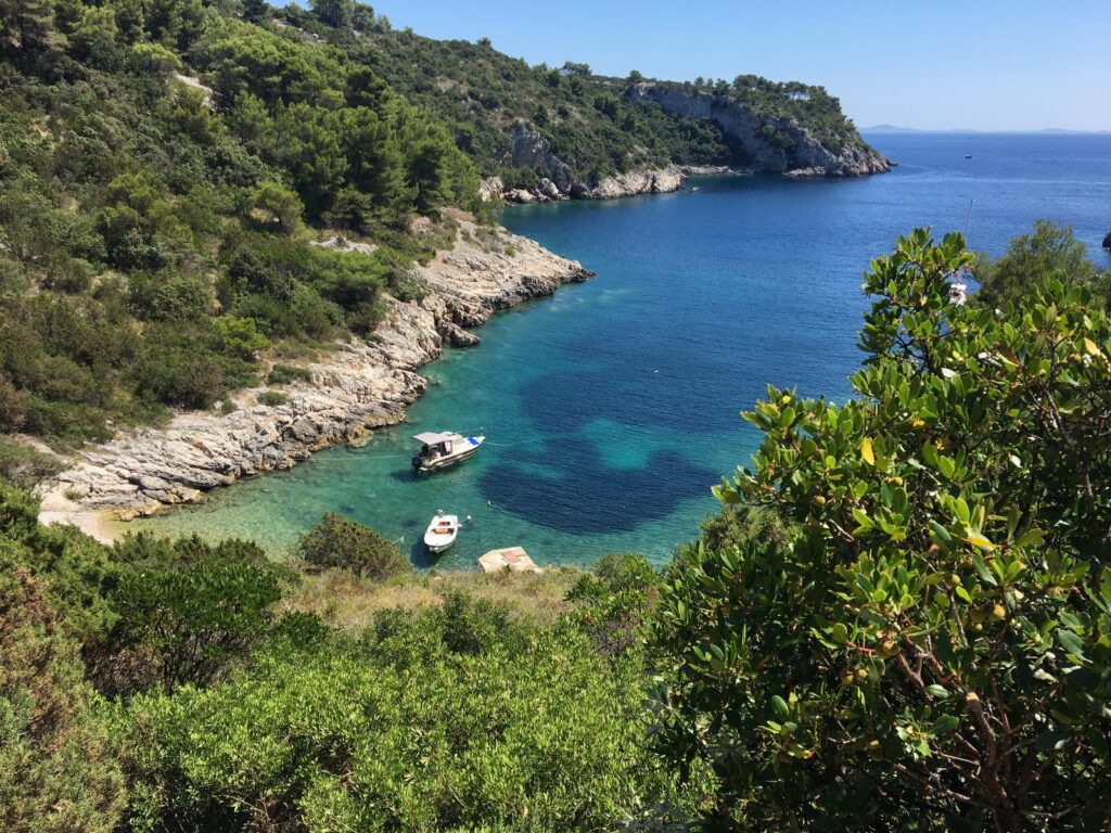 La baia di Jorja con l'acqua turchese tra le pinete, sull'isola di Šolta
