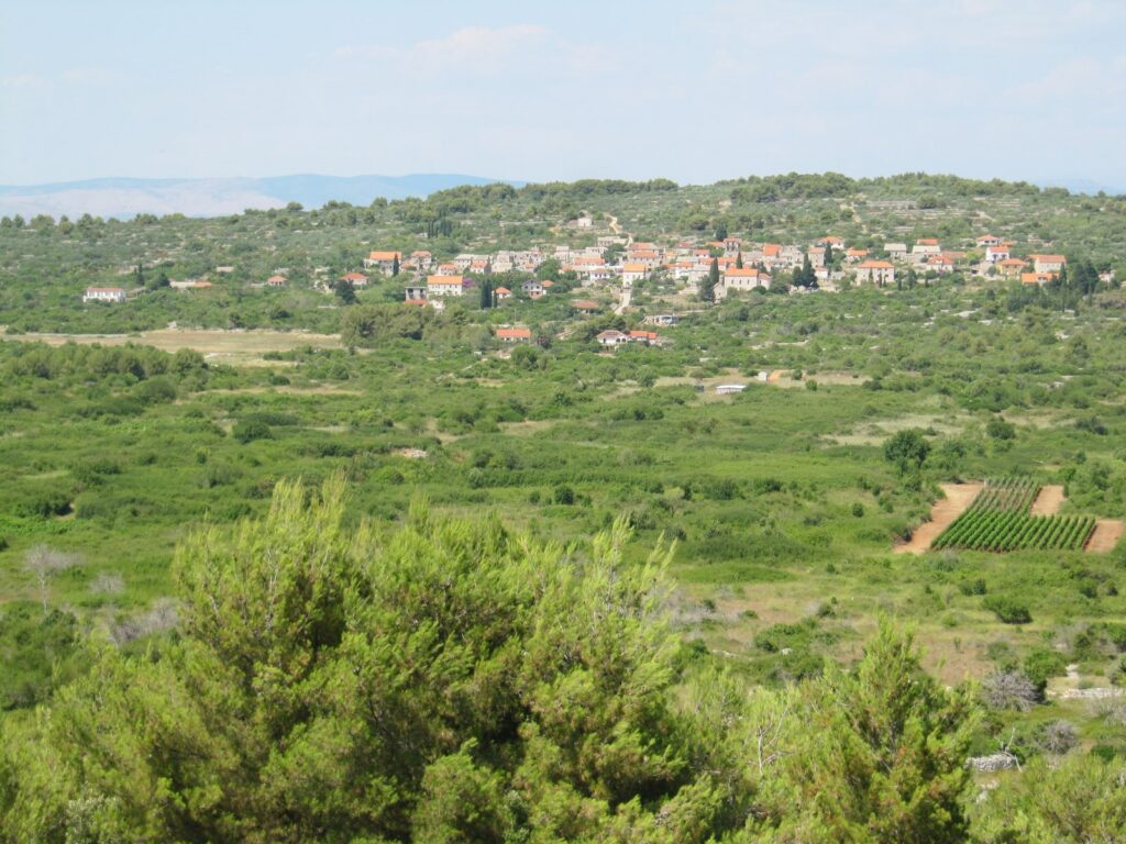 Il paese di Srednje Selo tra campi e uliveti nell'interno dell'isola di Šolta