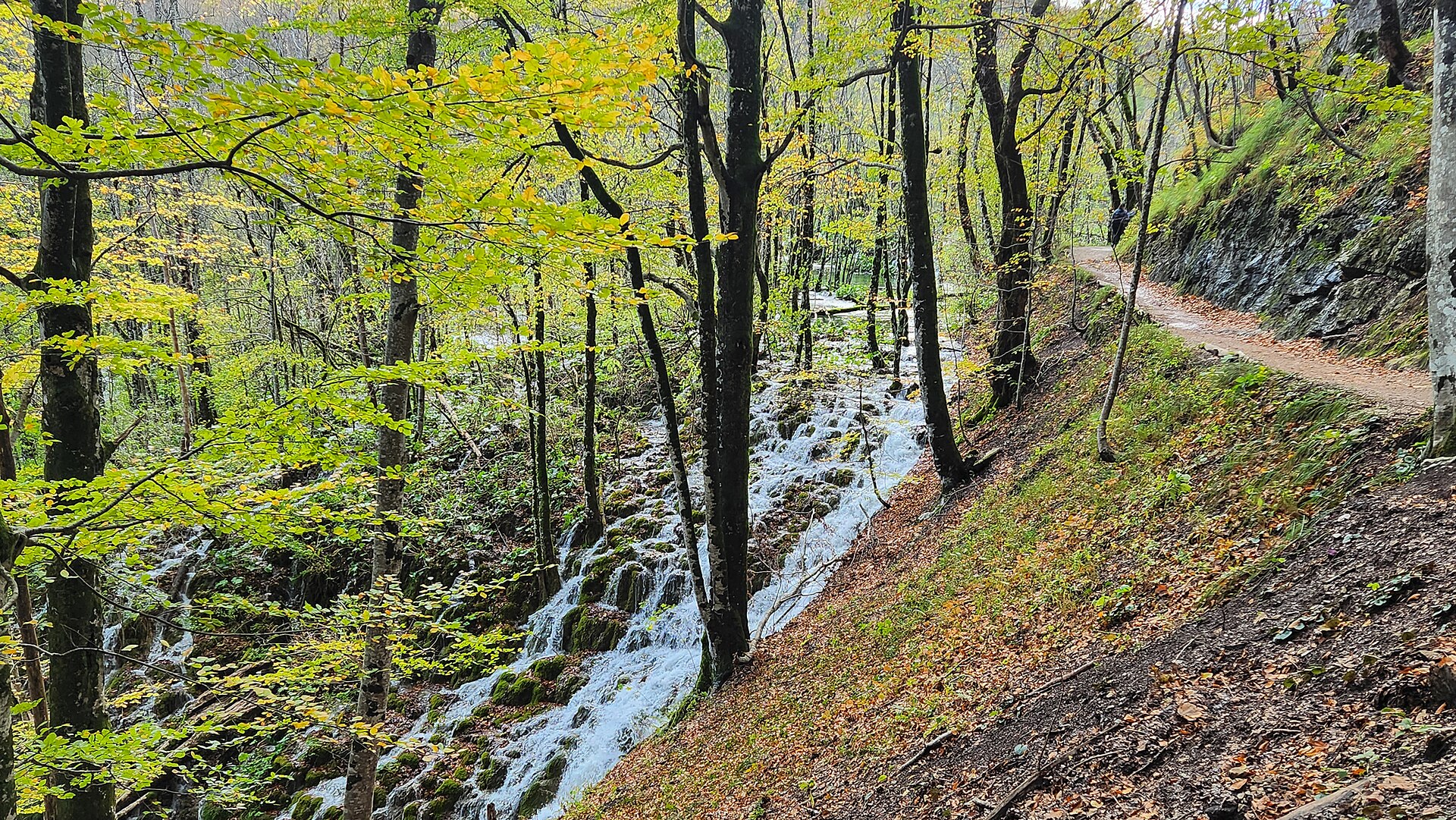 I Laghi di Plitvice in autunno, con i boschi di faggi che riflettono i loro colori caldi nelle acque tranquille.