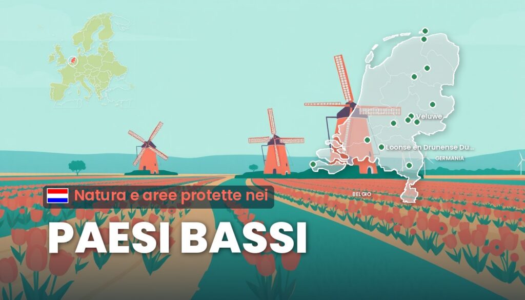 Natura e aree protette nei Paesi Bassi: illustrazione con la cartina