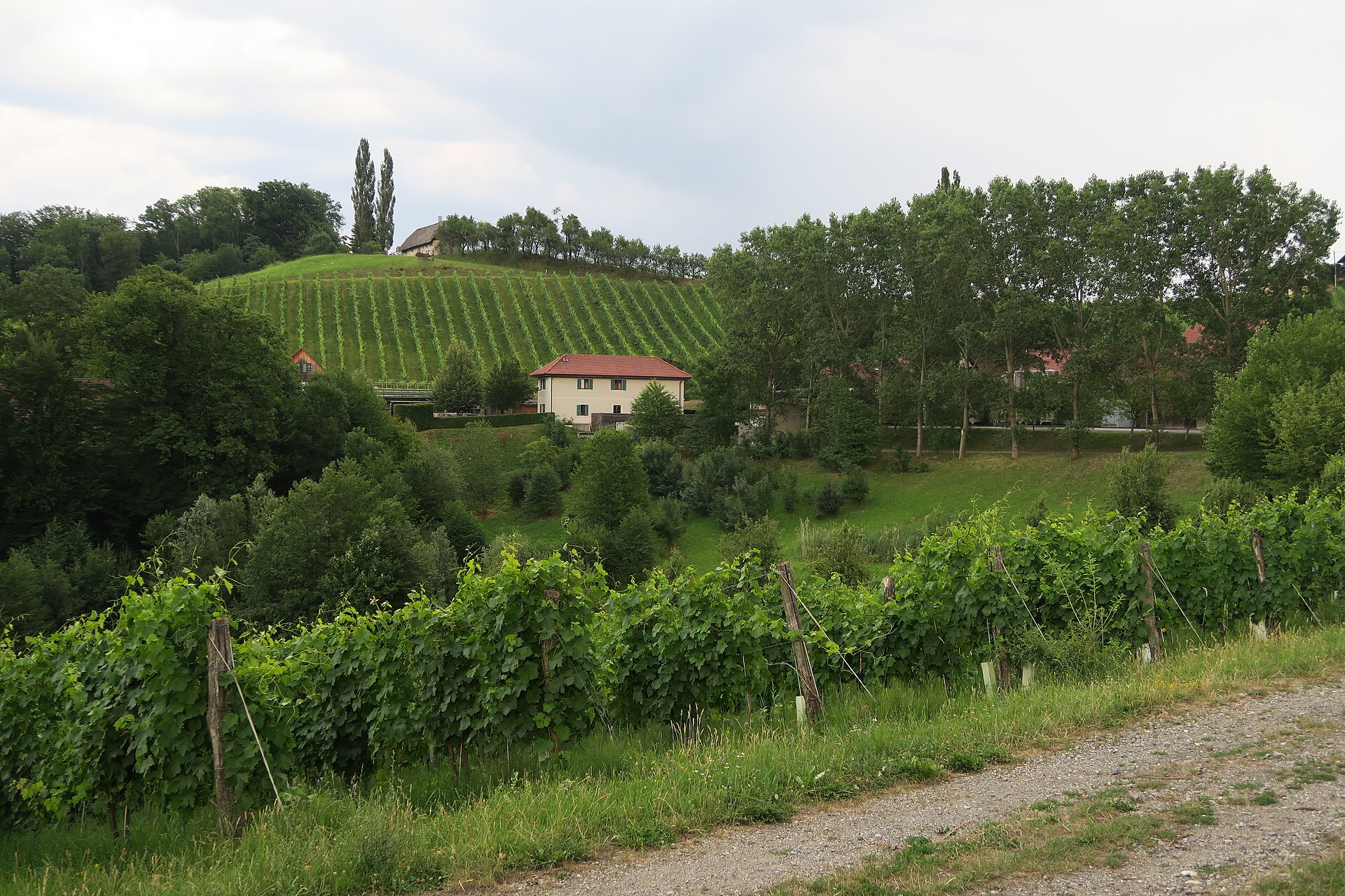 Il Weingut Polz a Spielfeld, una delle più importanti cantine della Südsteiermark.
